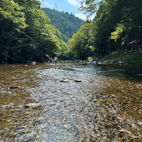 画像311