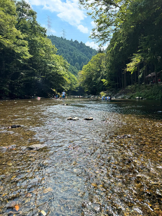 画像311