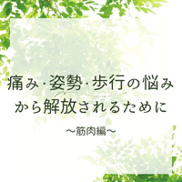 画像337
