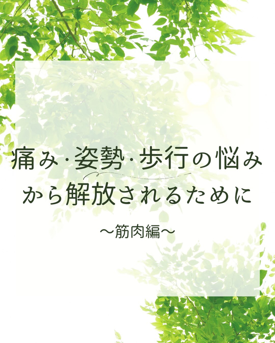 画像337
