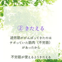 画像339