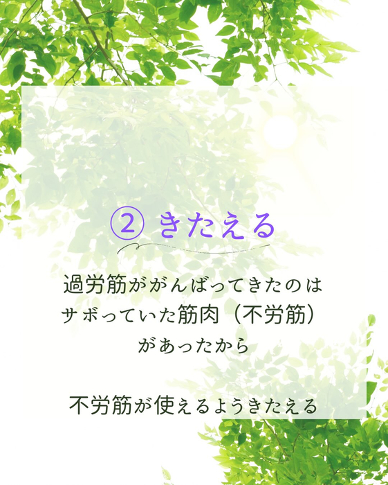 画像339