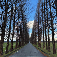 画像350
