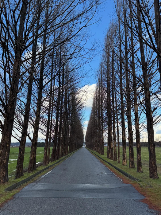 画像350