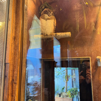 画像352