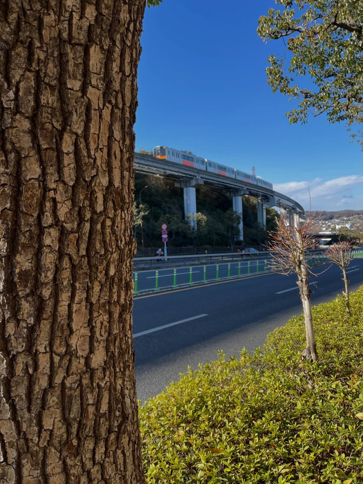 画像364