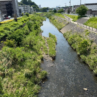 画像366