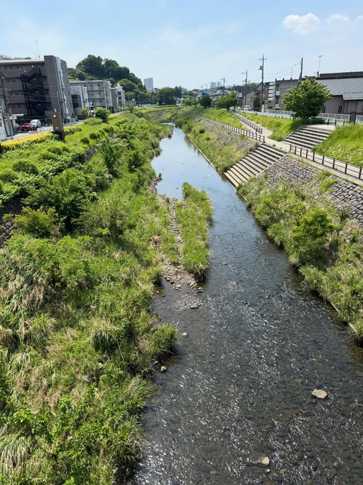 画像366
