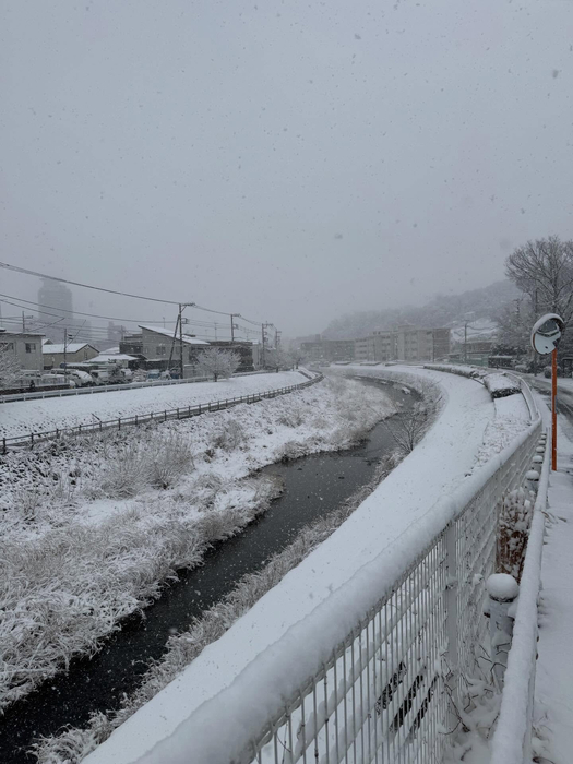 画像379