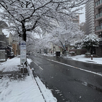 画像380