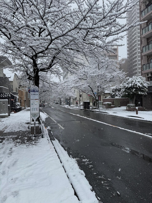 画像380
