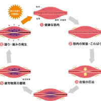 画像383