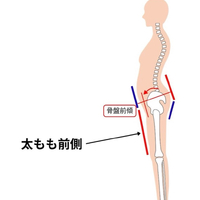 画像447