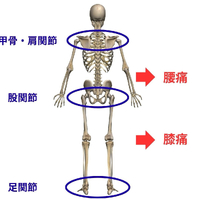画像458
