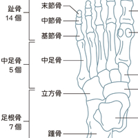 画像475