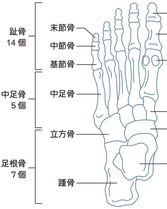 画像475