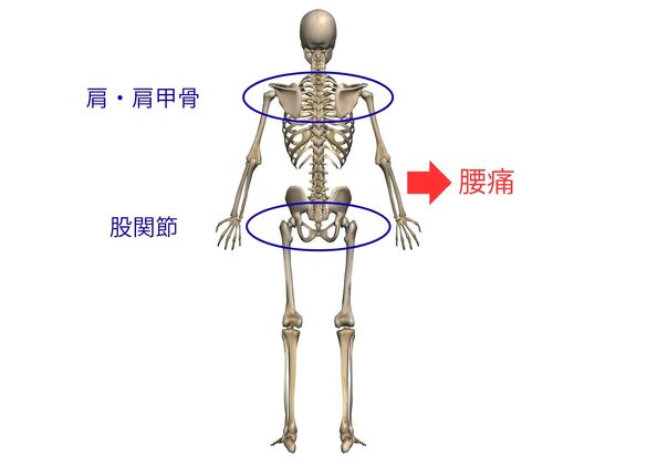 腰痛の引き金