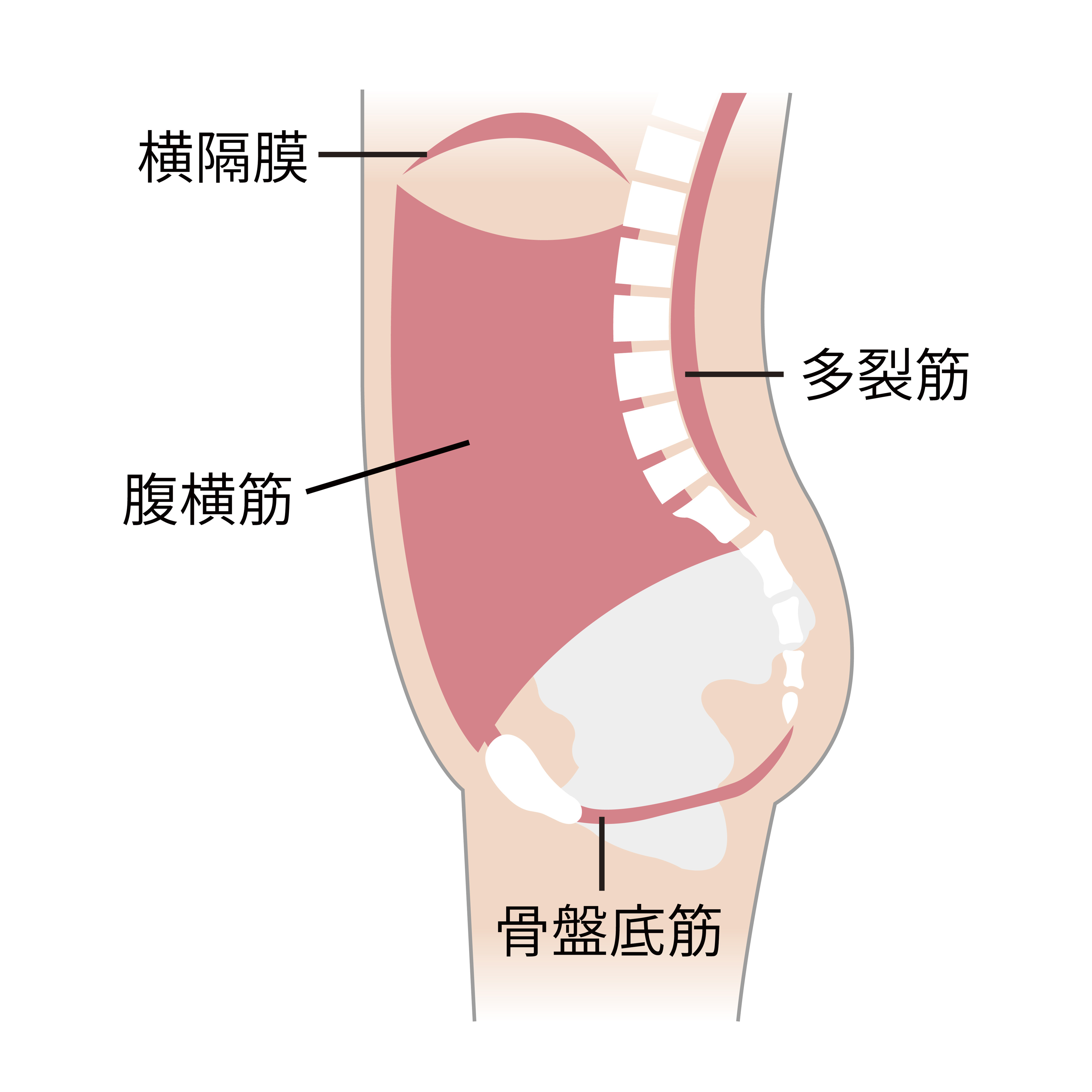 ダウンロード (5)