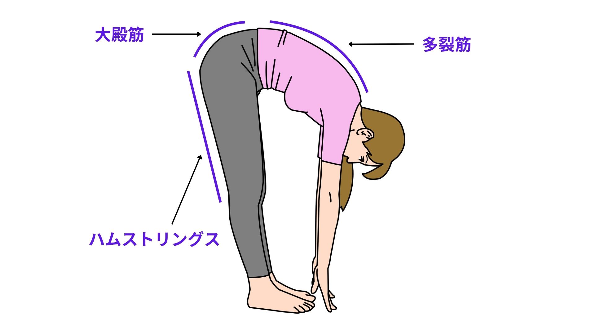 前屈時腰痛の原因