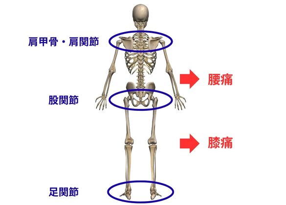 膝痛の引き金３